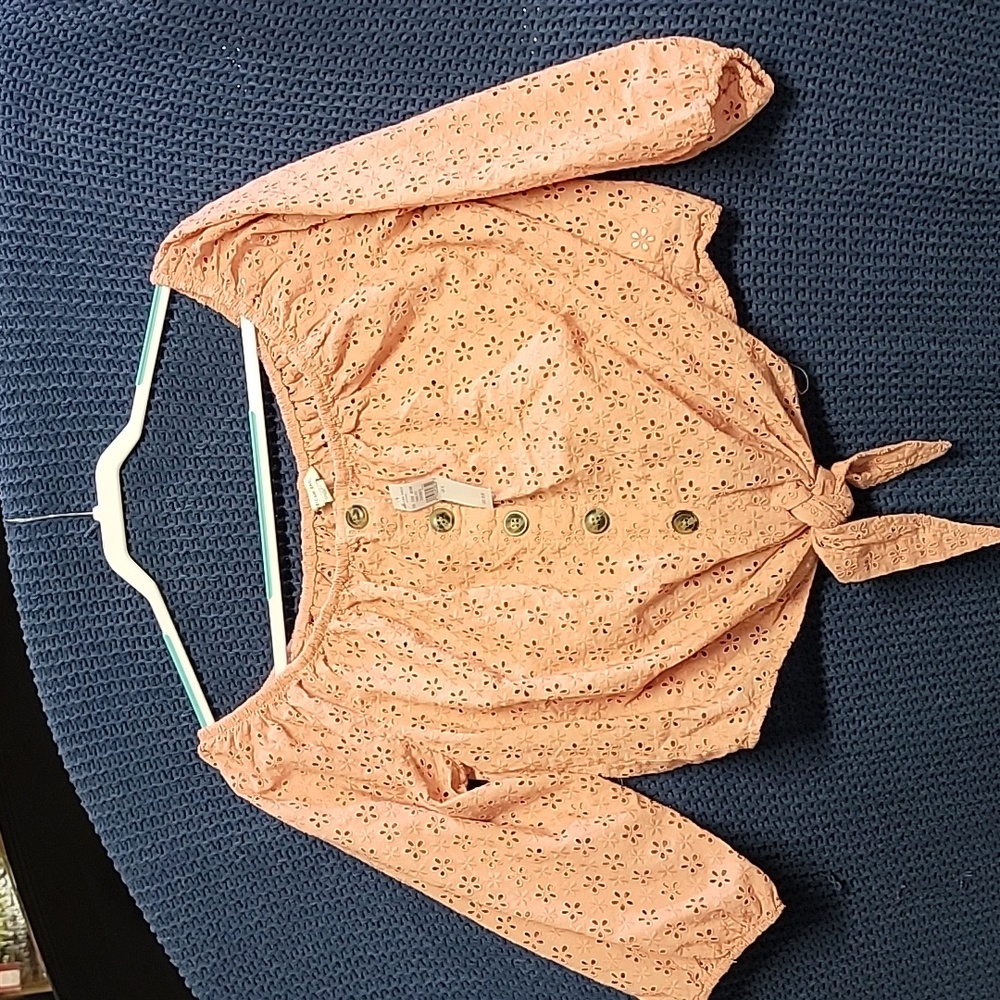 American Eagle XL NWT crop